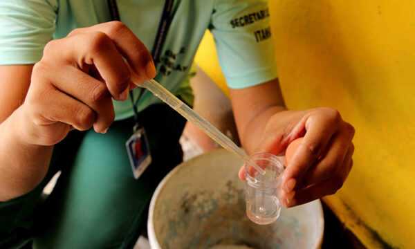 Prefeitura intensifica ações de prevenção à Dengue prefeitura-intensifica-acoes-de-prevencao-a-dengue