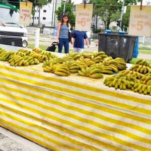 Dica para sua feira: cenoura mais barata e bananas mais caras nesta semana dica-para-sua-feira:-cenoura-mais-barata-e-bananas-mais-caras-nesta-semana