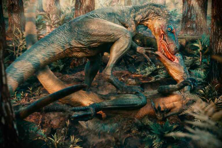 4×1?-dinossauros-brasileiros-e-argentinos-ja-brigavam-ha-230-milhoes-de-anos