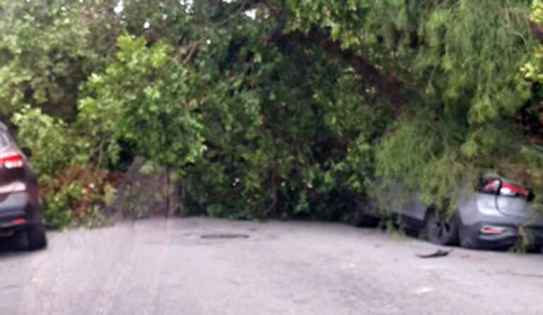 Baixada Santista tem rajadas de até 103 km/h e ventania causa estragos; VÍDEO baixada-santista-tem-rajadas-de-ate-103-km/h-e-ventania-causa-estragos;-video