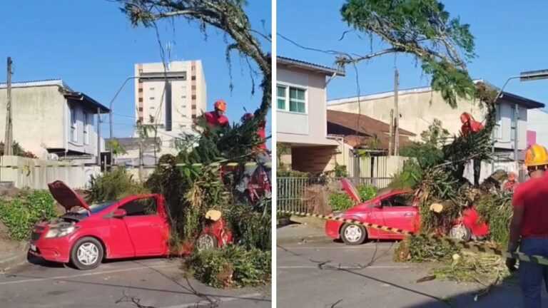 arvore-cai-sobre-carro-com-pai-e-filho-dentro-em-itanhaem;-video