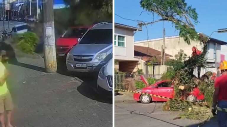 familia-cria-vaquinha-apos-carro-ser-destruido-por-arvore-em-itanhaem