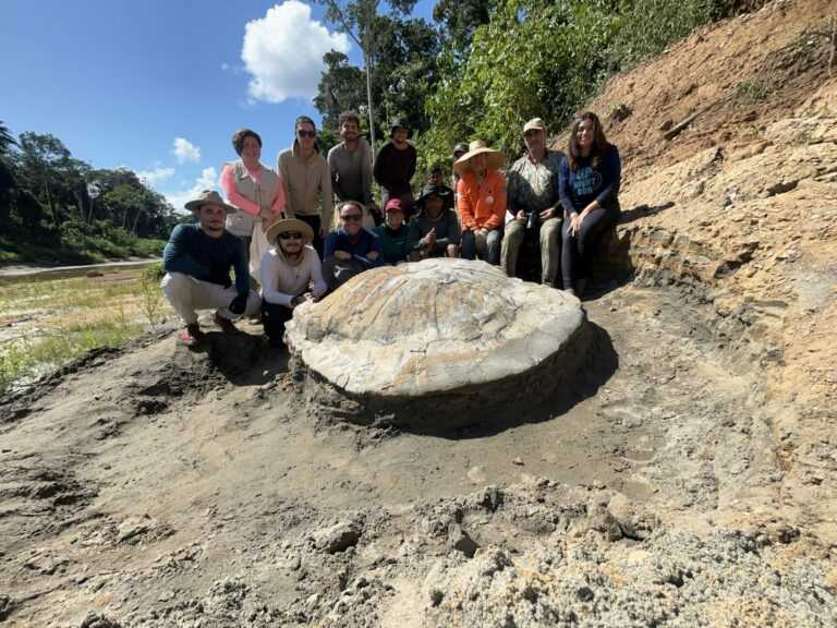O dia em que brasileiros encontraram o fóssil da maior tartaruga de água doce do mundo o-dia-em-que-brasileiros-encontraram-o-fossil-da-maior-tartaruga-de-agua-doce-do-mundo