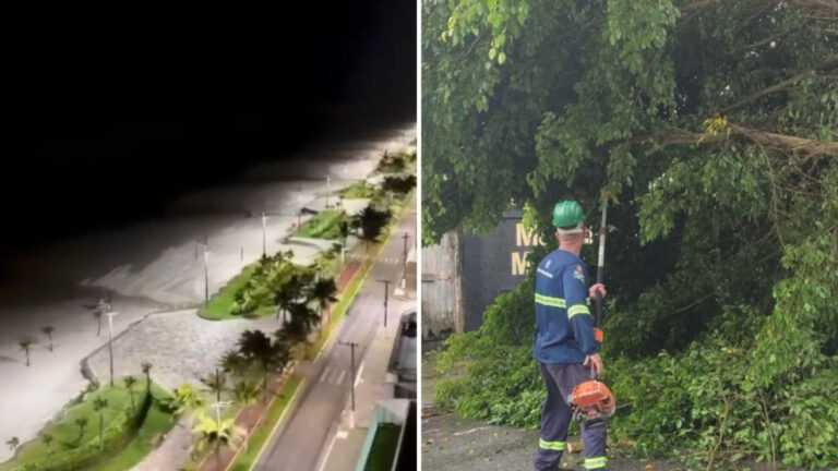 chuva-e-vento-provocam-quedas-de-arvores-e-resgate-na-baixada-santista