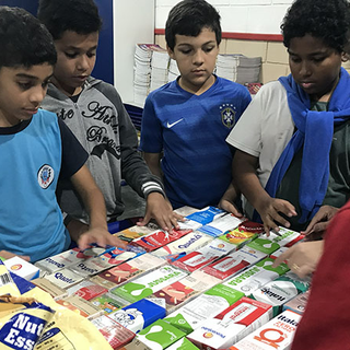 alunos-de-itanhaem-transformam-materiais-reciclaveis-em-casinhas-para-animais-de-rua